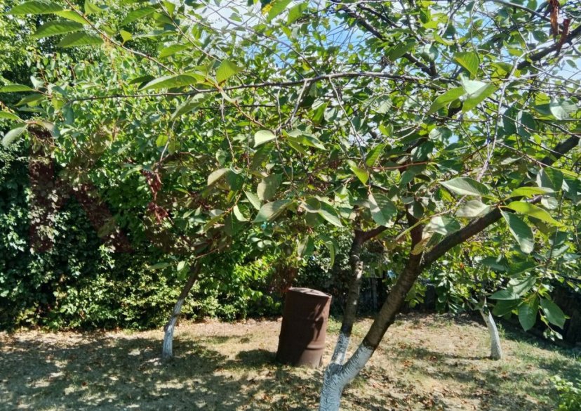 Продажа дома, 60 кв.м фото 7