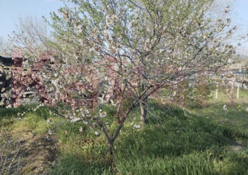 Продажа земельного участка, 7 сот. фото 0