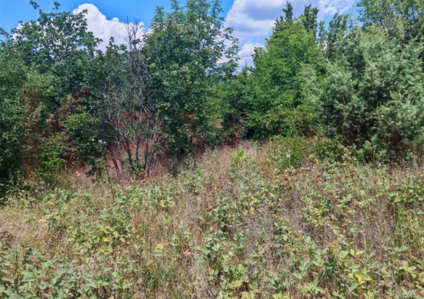 Продажа земельного участка, 8 сот. фото 4