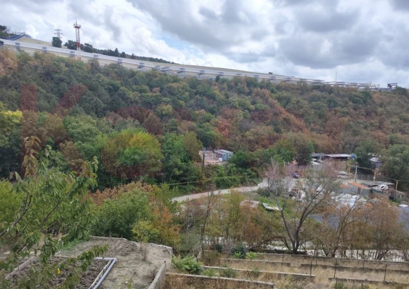 Продажа земельного участка, 5 сот. фото 1
