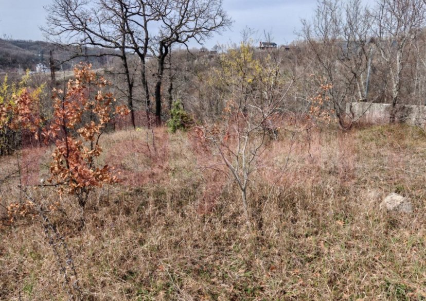 Продажа земельного участка, 6 сот. фото 1